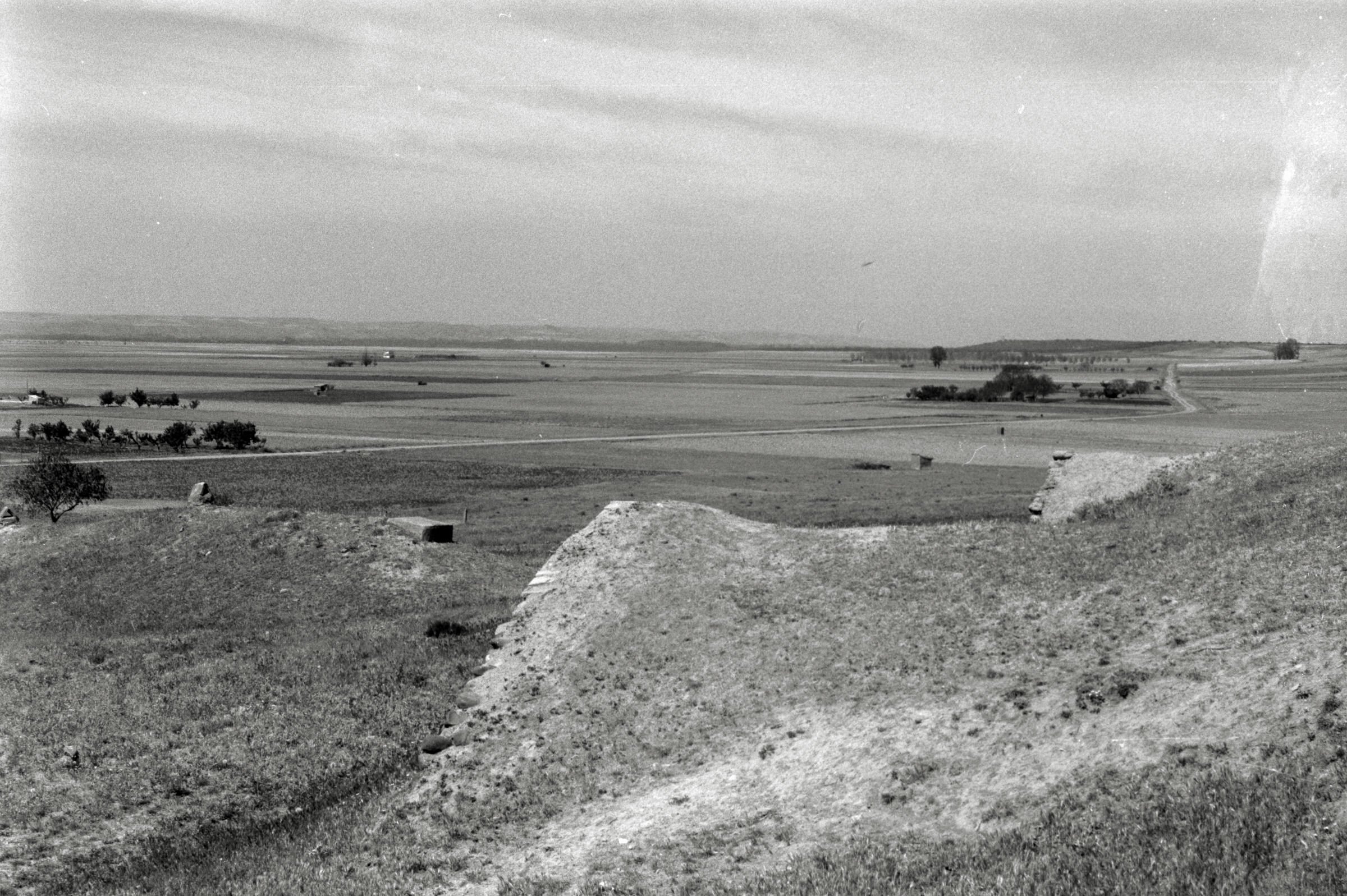 AHP F1995 05 010 sc240826 img01 NLP